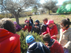 Excursió a la granja-escola.